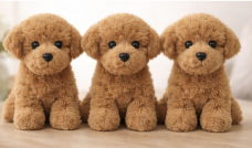 3 x babybobby™ (50% korting)